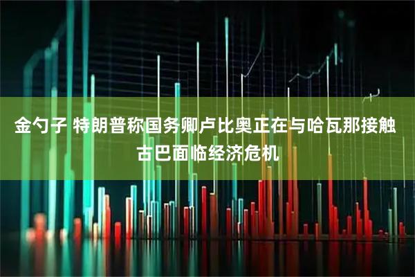 金勺子 特朗普称国务卿卢比奥正在与哈瓦那接触 古巴面临经济危机