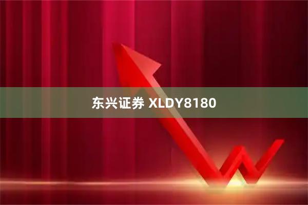 东兴证券 XLDY8180
