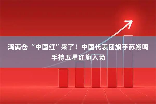 鸿满仓 “中国红”来了！中国代表团旗手苏翊鸣手持五星红旗入场