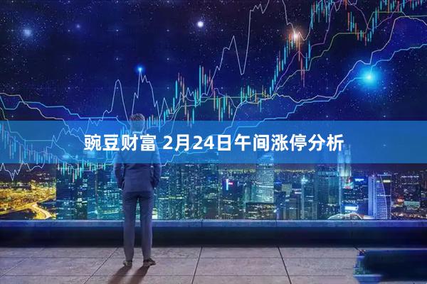 豌豆财富 2月24日午间涨停分析