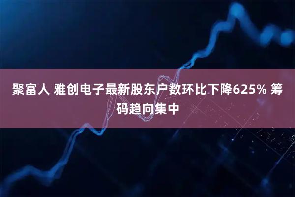 聚富人 雅创电子最新股东户数环比下降625% 筹码趋向集中